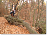 Yoga im Teuteburger Wald